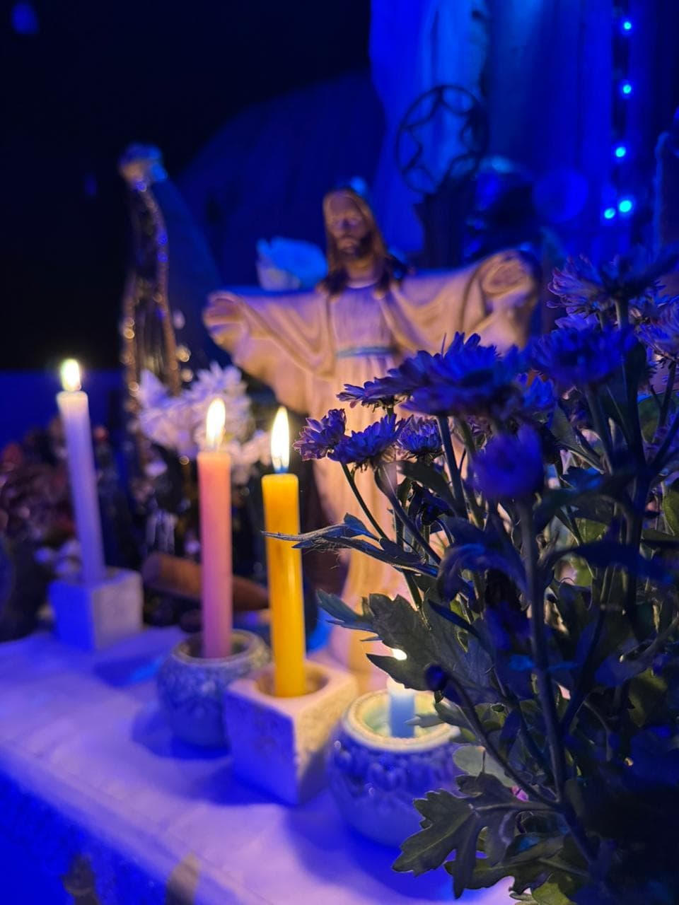 Caminho das Rosas — foto 29