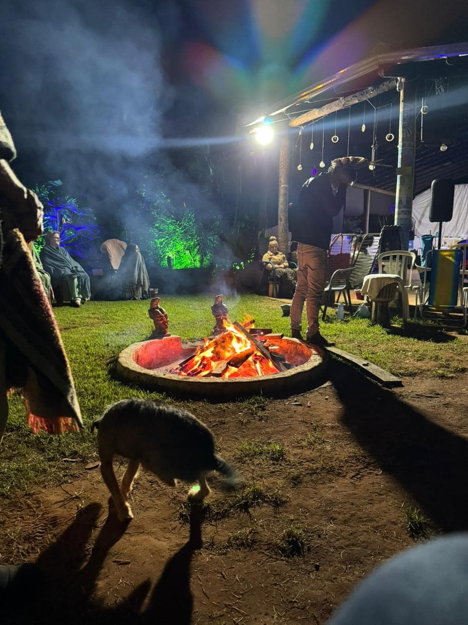 Animais de poder — foto 14